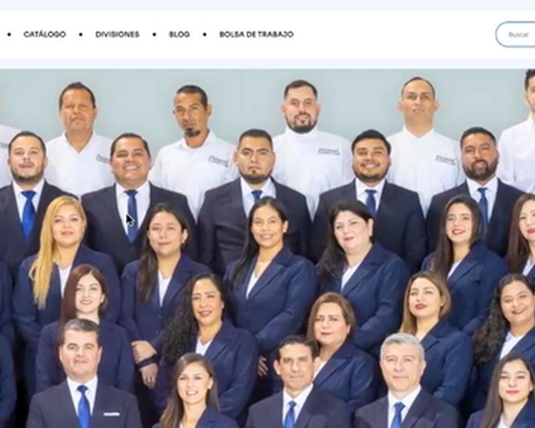 Sitio web de Diinsel desarrollado por 3GENIOS